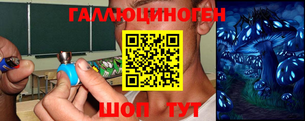 Псилоцибиновые грибы GOLDEN TEACHER Новоуральск